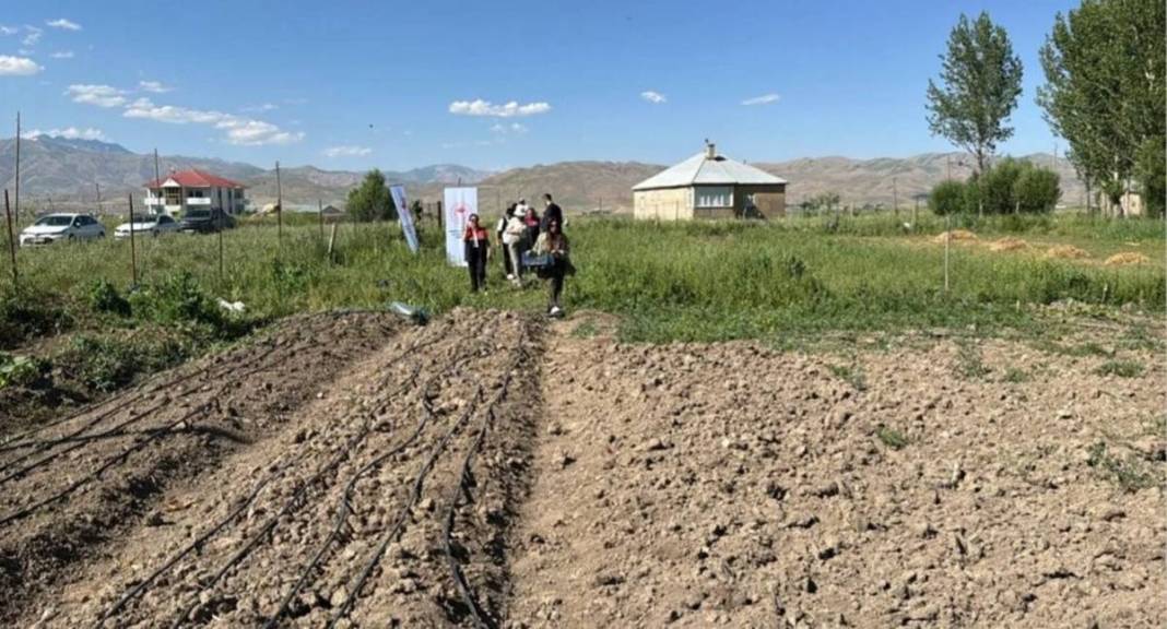 Yüksekova alternatif tarımda rekora koşuyor: Bir yumrudan dört kat ürün çıktı 6
